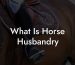 What Is Horse Husbandry