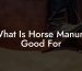 What Is Horse Manure Good For