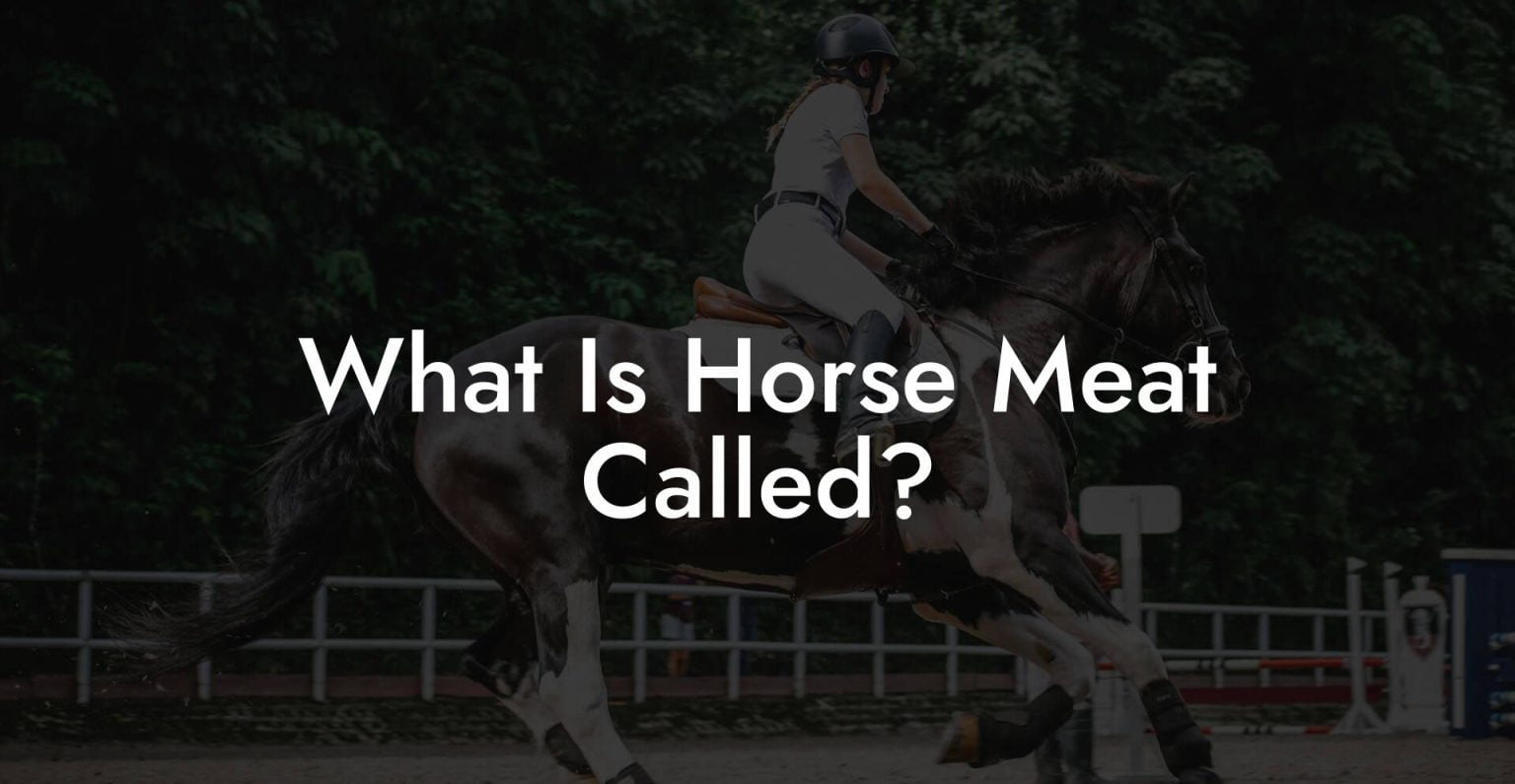 What Is Horse Meat Called? How To Own a Horse