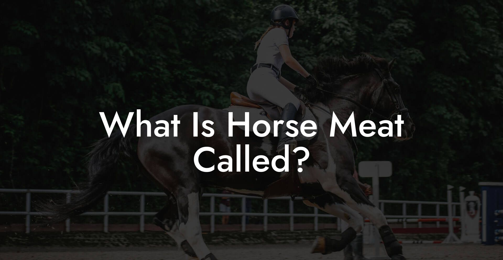 What Is Horse Meat Called?