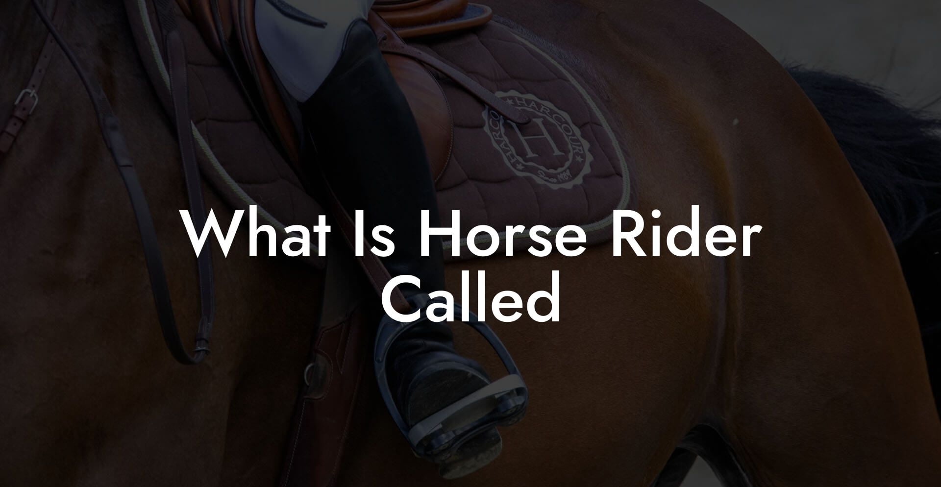 What Is Horse Rider Called