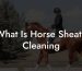 What Is Horse Sheath Cleaning