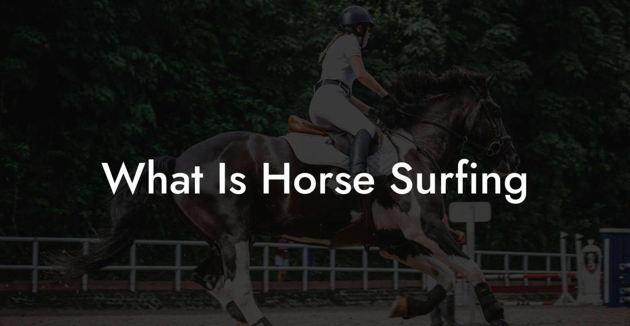 What Is Horse Surfing