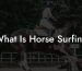 What Is Horse Surfing