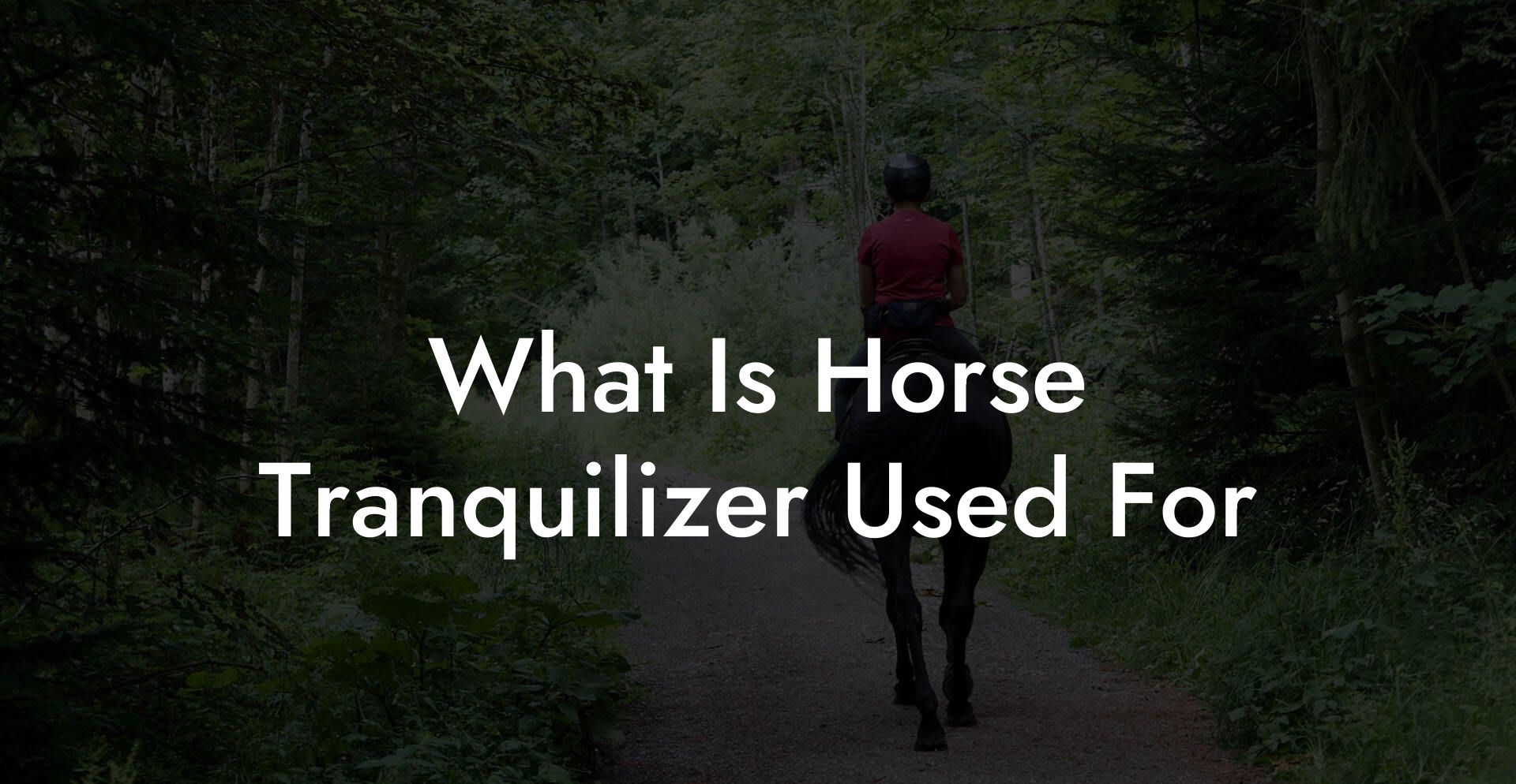 What Is Horse Tranquilizer Used For