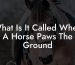 What Is It Called When A Horse Paws The Ground