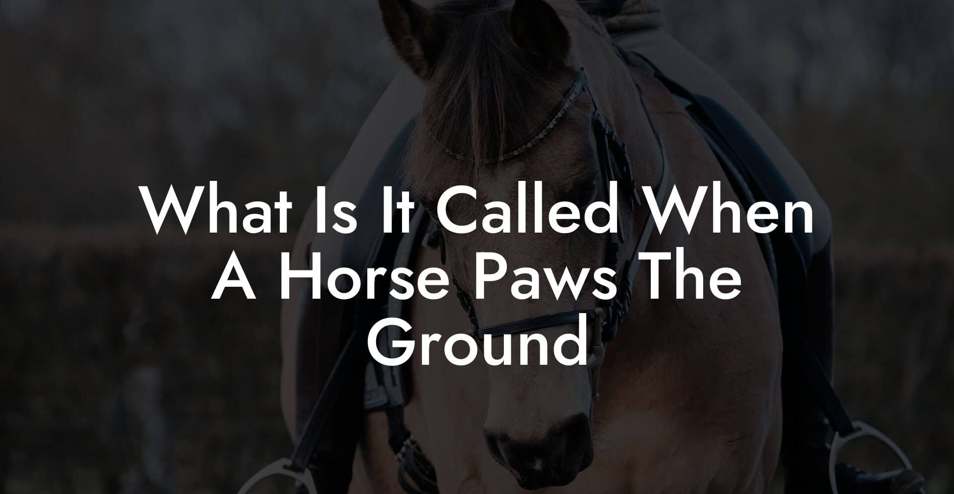 What Is It Called When A Horse Paws The Ground