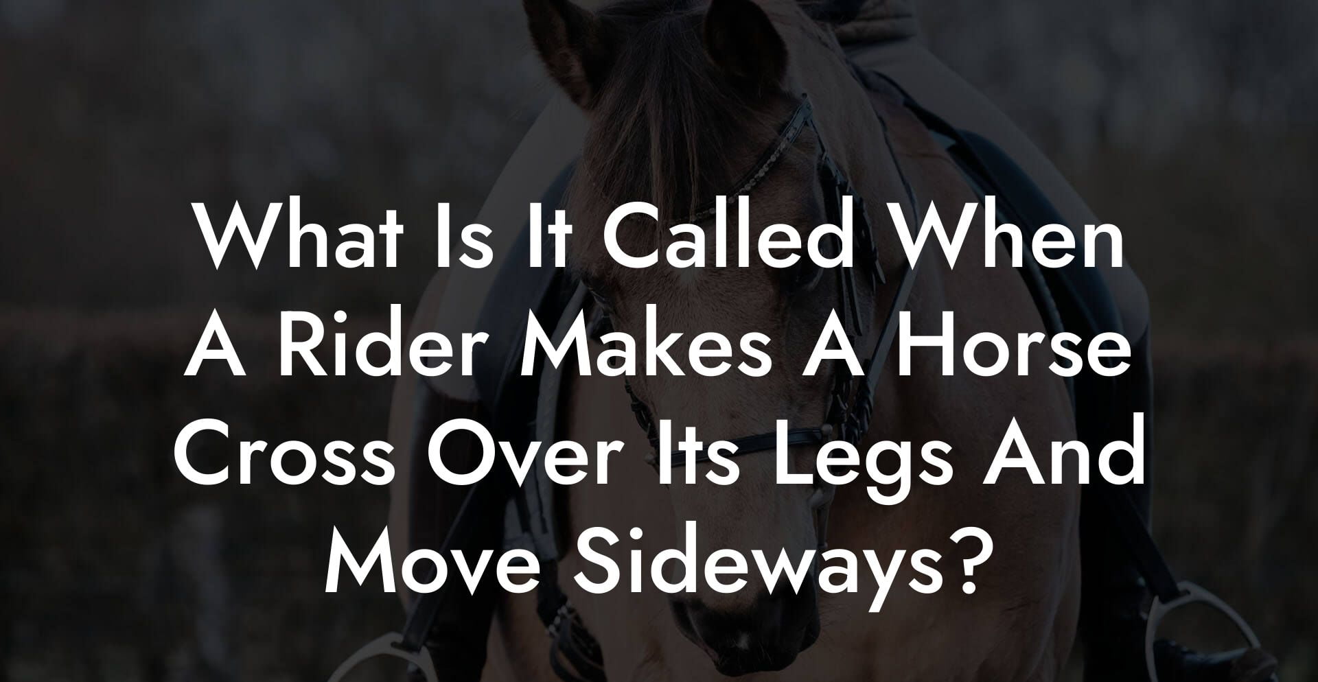 What Is It Called When A Rider Makes A Horse Cross Over Its Legs And Move Sideways?