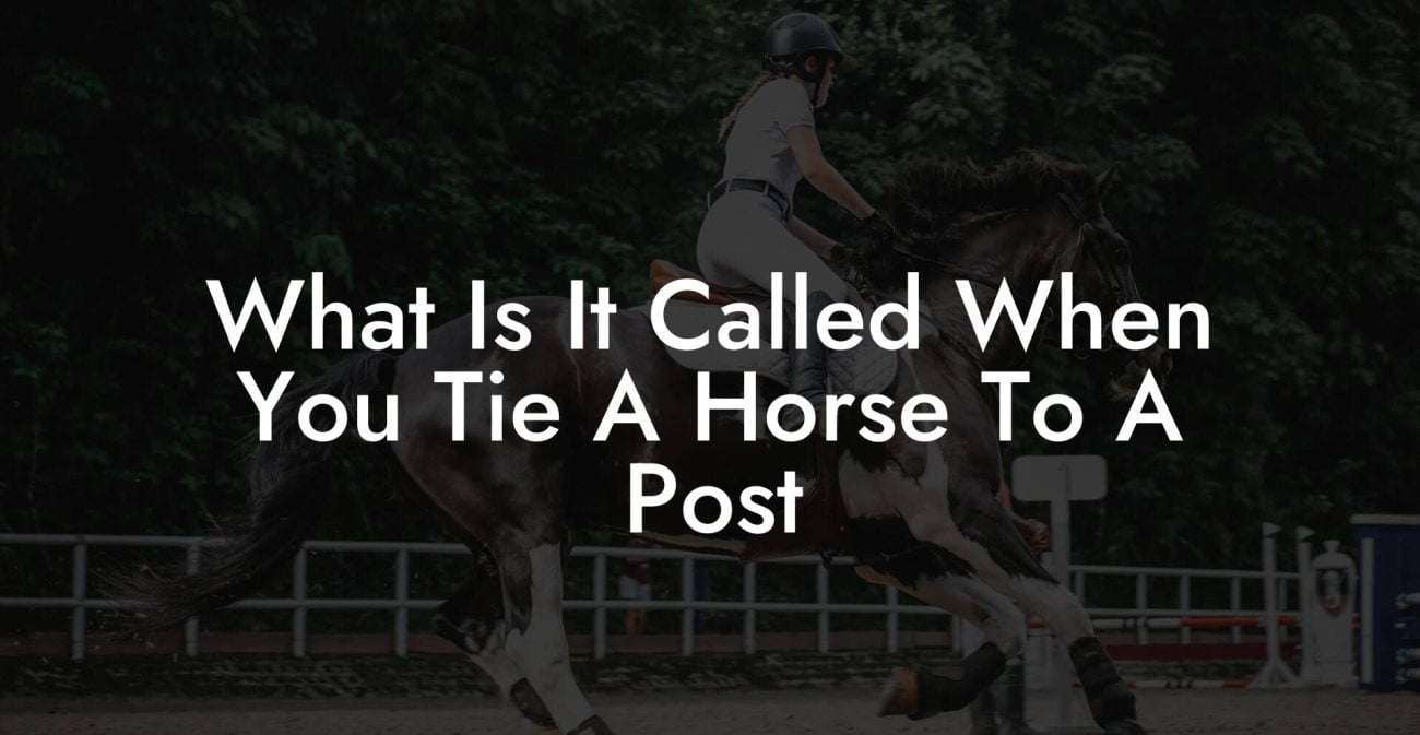 What Is It Called When You Tie A Horse To A Post