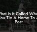 What Is It Called When You Tie A Horse To A Post