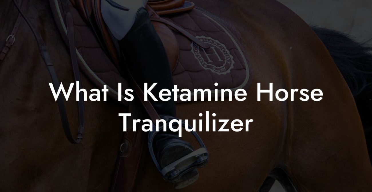 What Is Ketamine Horse Tranquilizer