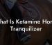 What Is Ketamine Horse Tranquilizer