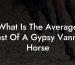 What Is The Average Cost Of A Gypsy Vanner Horse