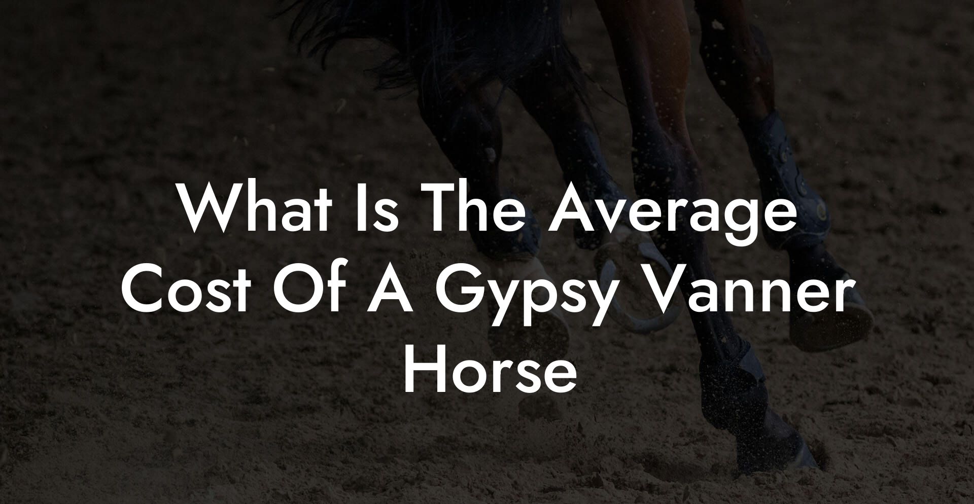 What Is The Average Cost Of A Gypsy Vanner Horse