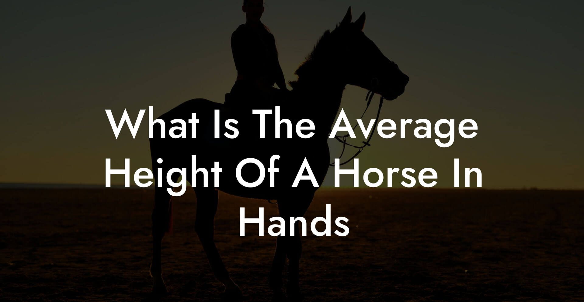 What Is The Average Height Of A Horse In Hands