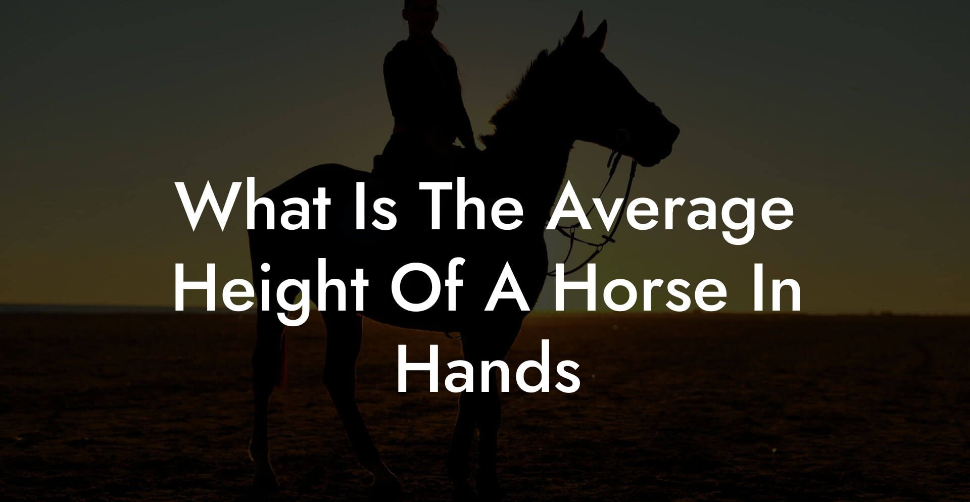 What Is The Average Height Of A Horse In Hands How To Own a Horse