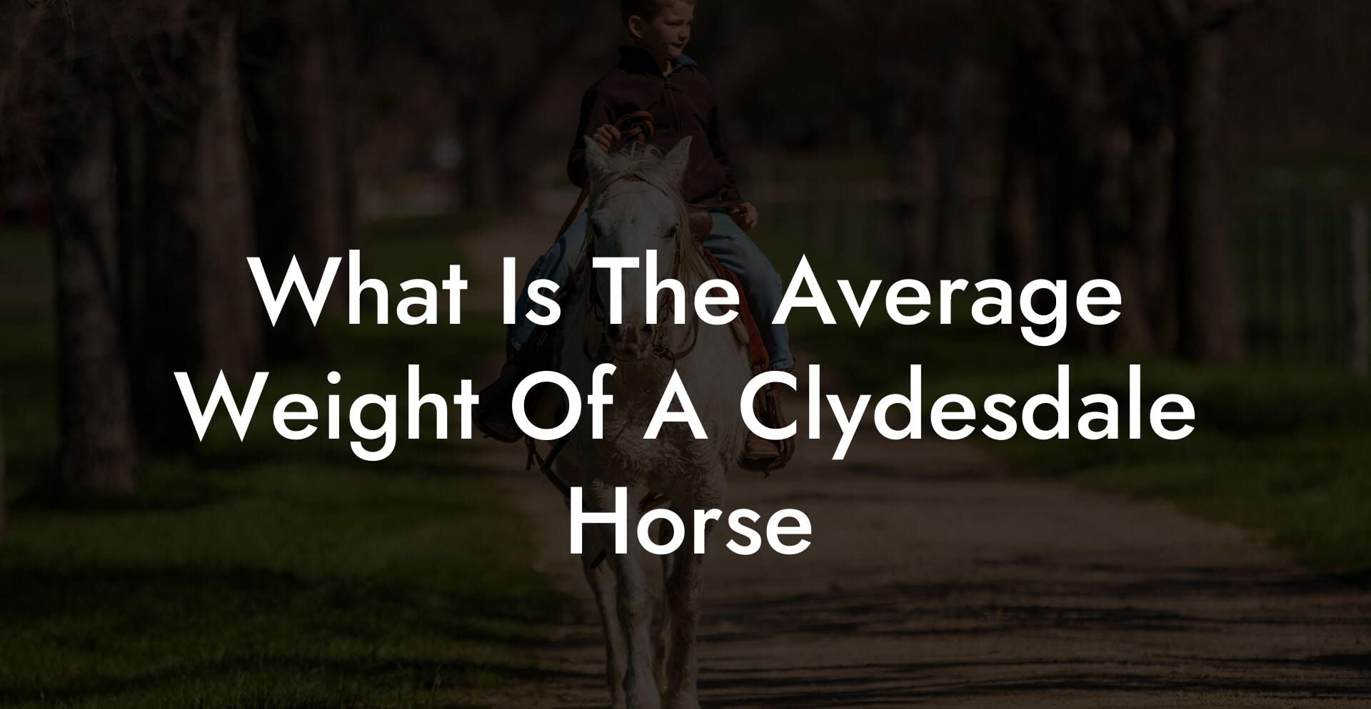 What Is The Average Weight Of A Clydesdale Horse