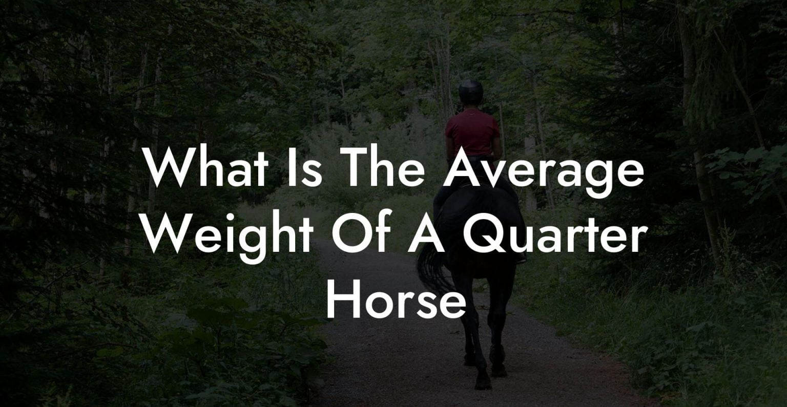 What Is The Average Weight Of A Quarter Horse - How To Own a Horse