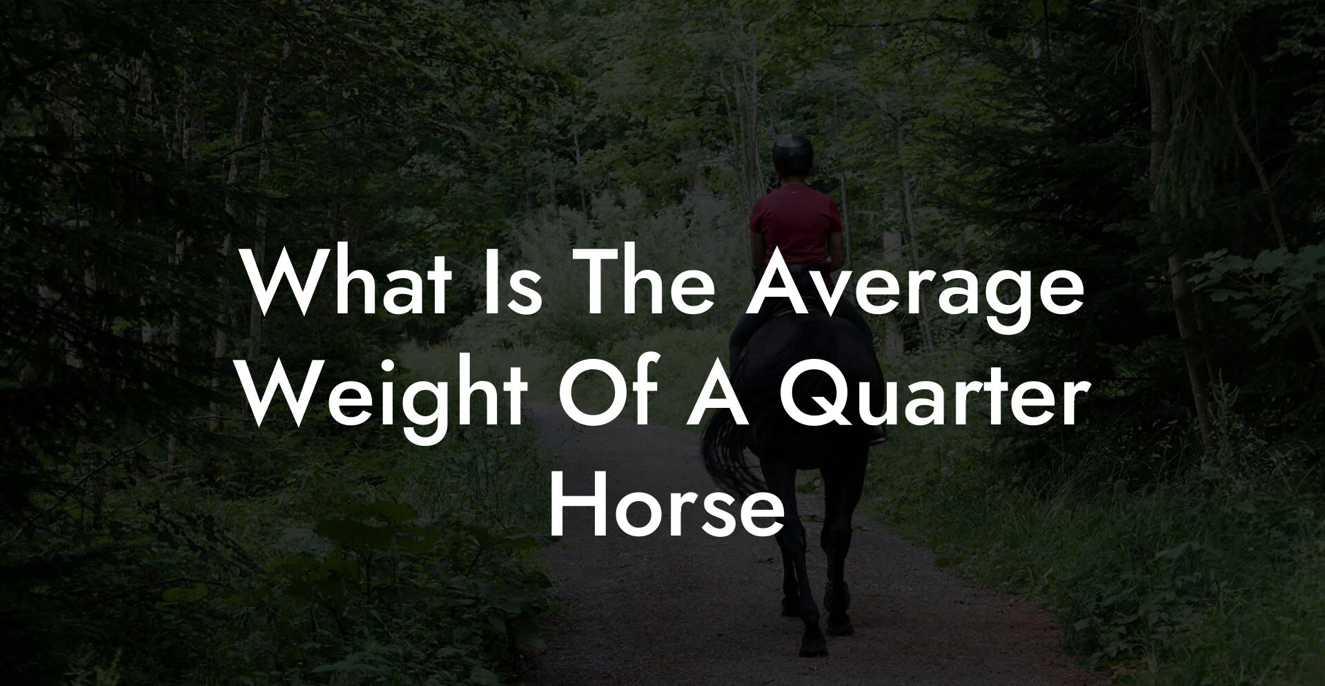 What Is The Average Weight Of A Quarter Horse