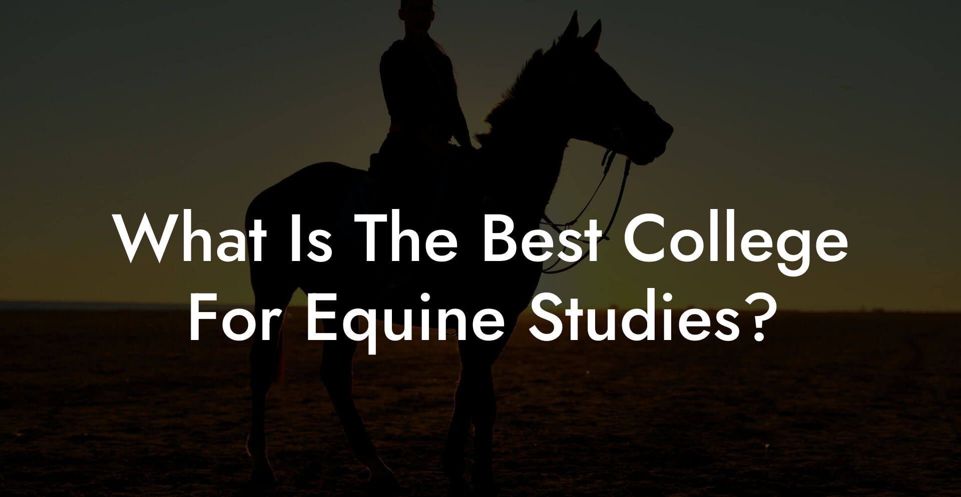 What Is The Best College For Equine Studies?