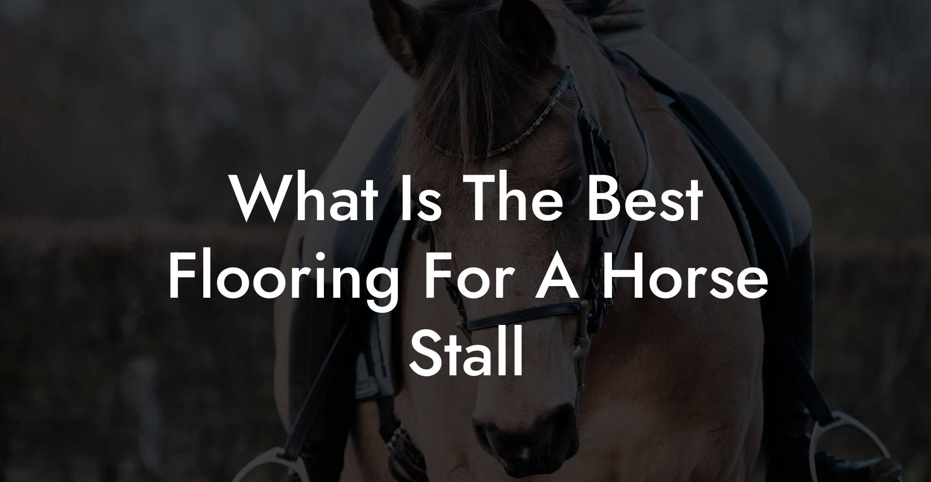 What Is The Best Flooring For A Horse Stall