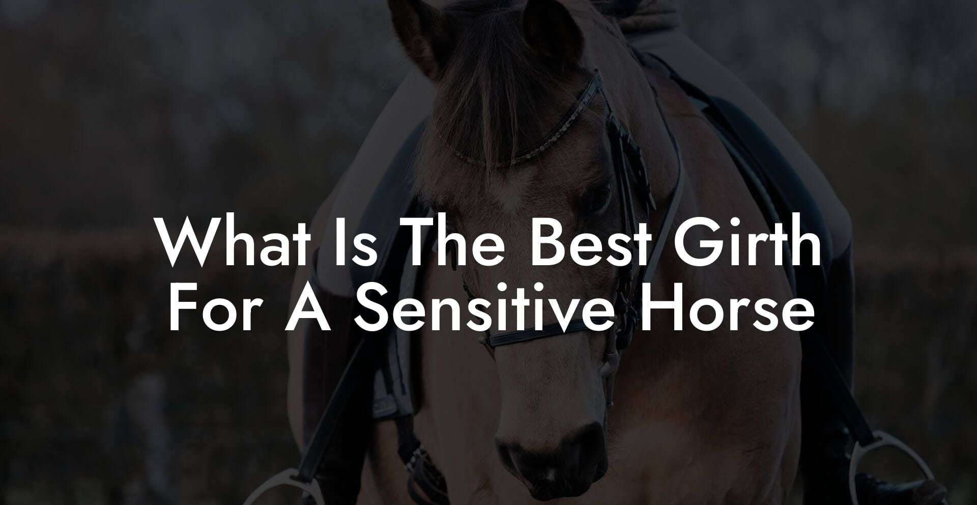 What Is The Best Girth For A Sensitive Horse