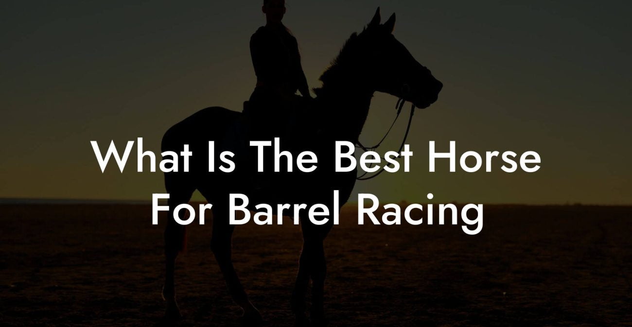 What Is The Best Horse For Barrel Racing