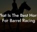 What Is The Best Horse For Barrel Racing
