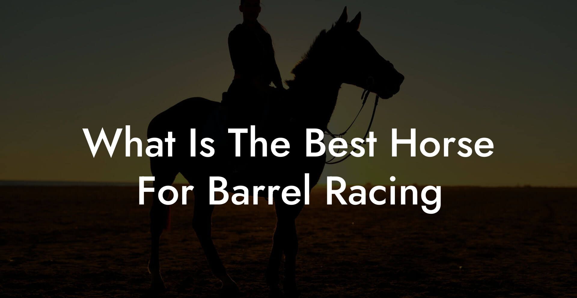 What Is The Best Horse For Barrel Racing