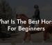 What Is The Best Horse For Beginners
