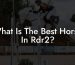 What Is The Best Horse In Rdr2?