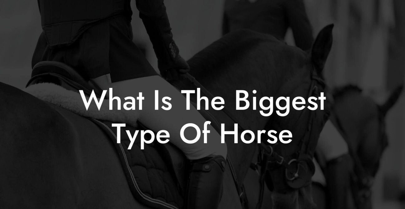 What Is The Biggest Type Of Horse