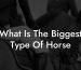 What Is The Biggest Type Of Horse