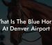 What Is The Blue Horse At Denver Airport