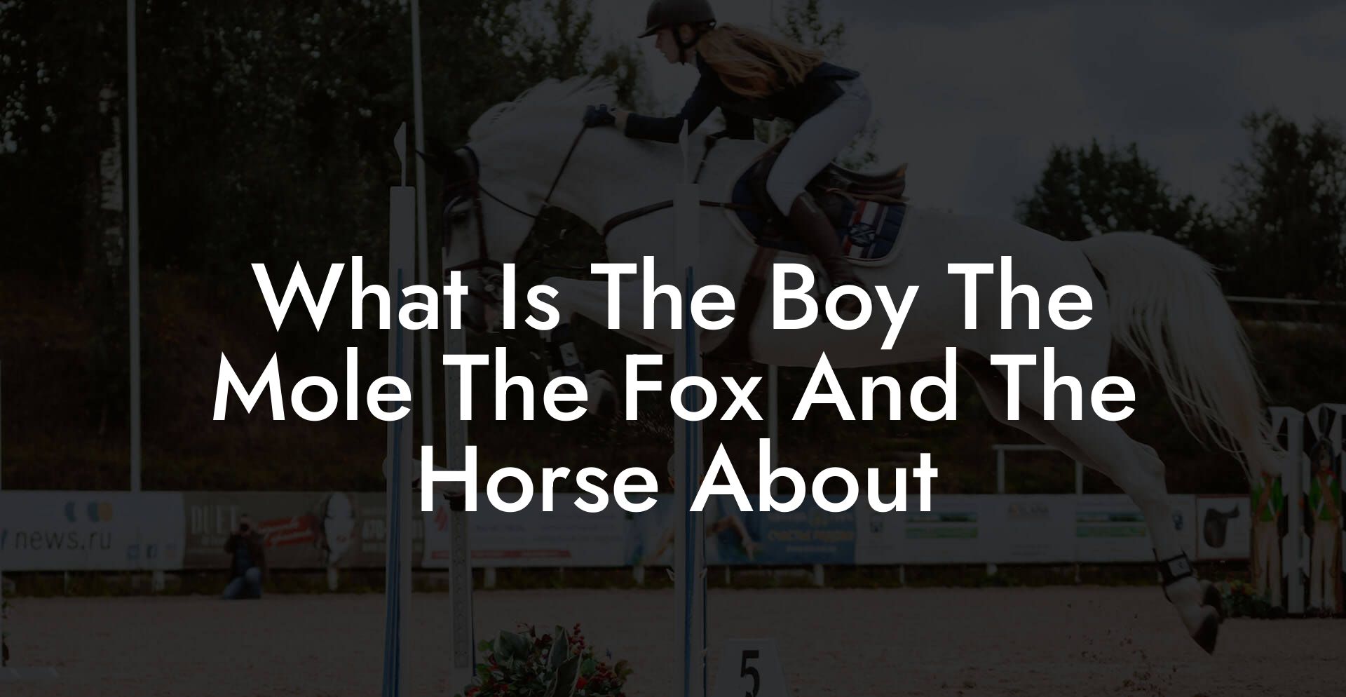 What Is The Boy The Mole The Fox And The Horse About