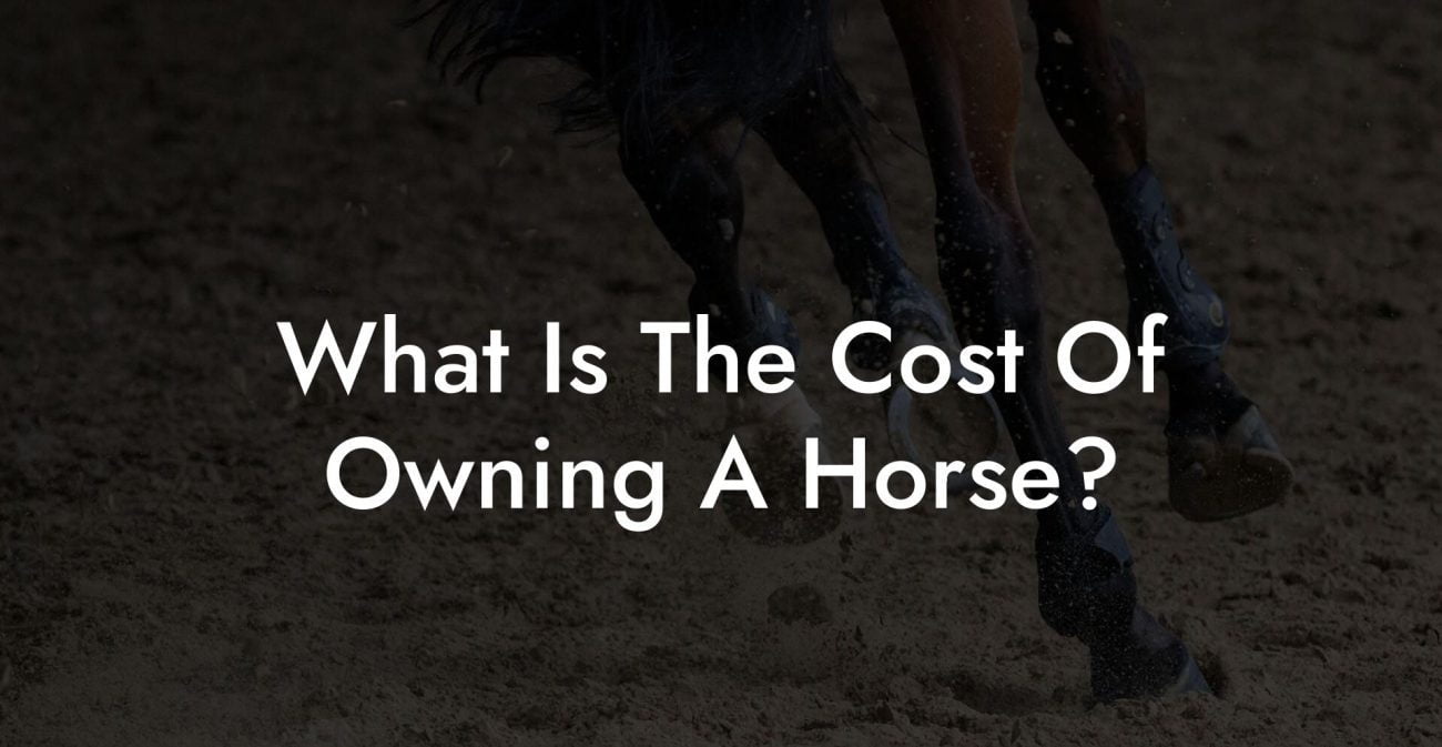 What Is The Cost Of Owning A Horse?