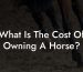 What Is The Cost Of Owning A Horse?