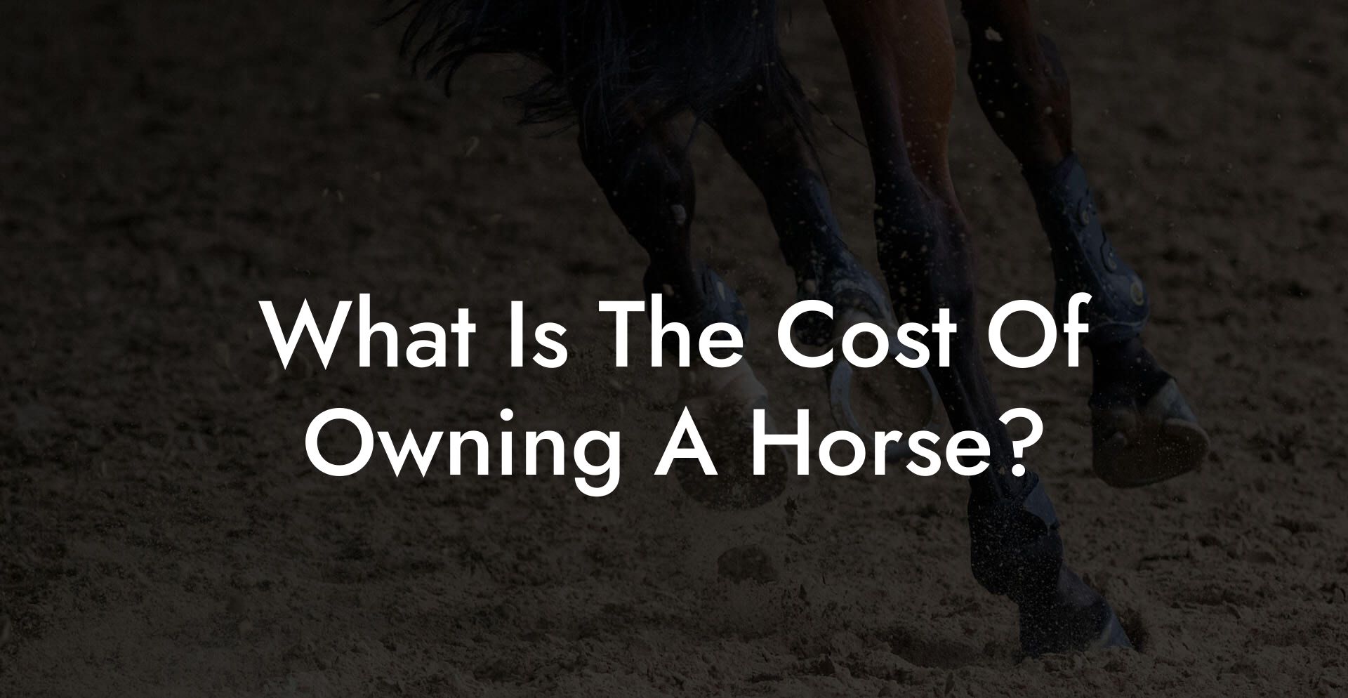 What Is The Cost Of Owning A Horse?