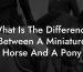 What Is The Difference Between A Miniature Horse And A Pony