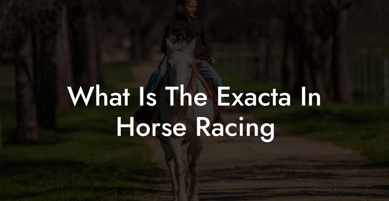 What Is The Exacta In Horse Racing How To Own a Horse