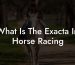 What Is The Exacta In Horse Racing