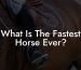 What Is The Fastest Horse Ever?