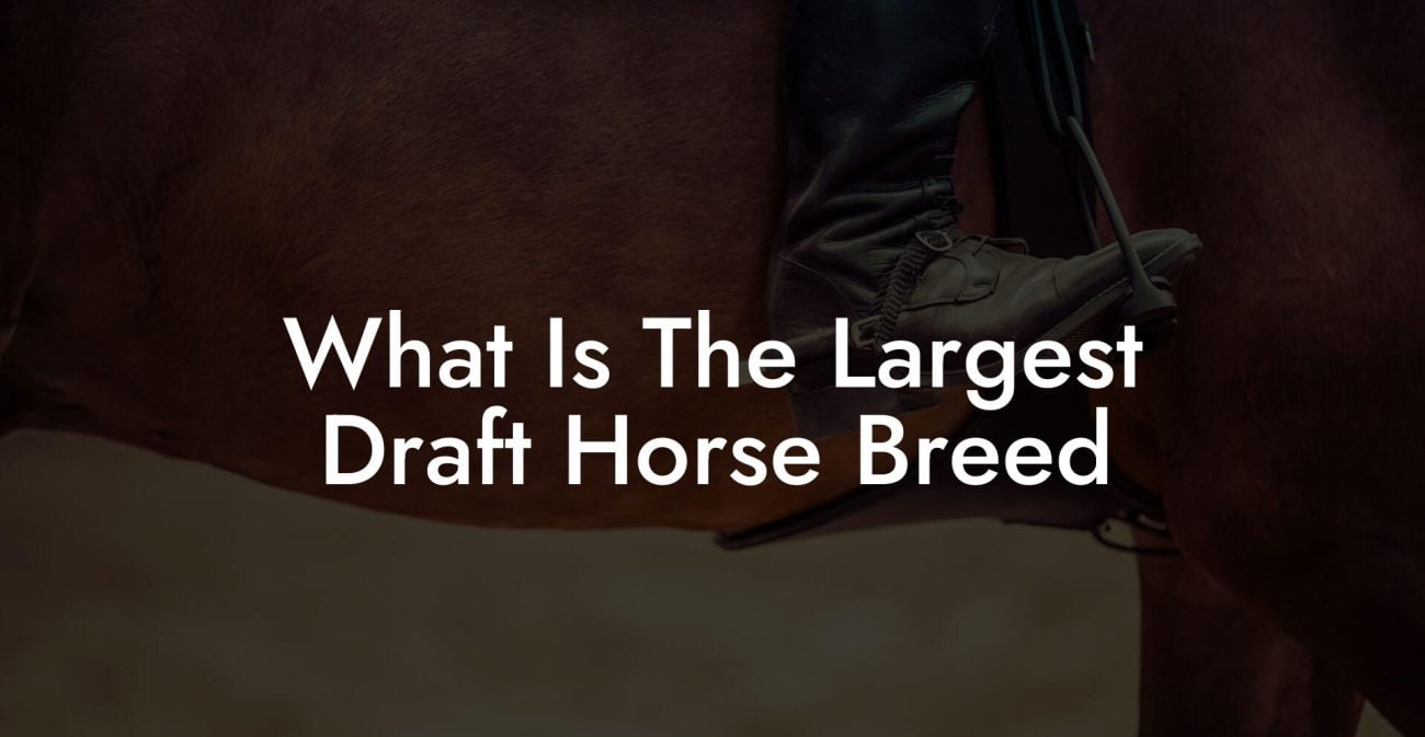 What Is The Largest Draft Horse Breed