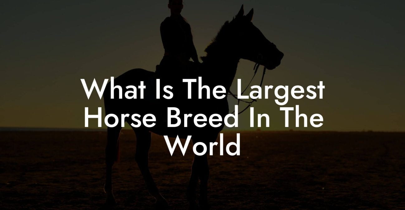 What Is The Largest Horse Breed In The World