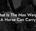 What Is The Max Weight A Horse Can Carry