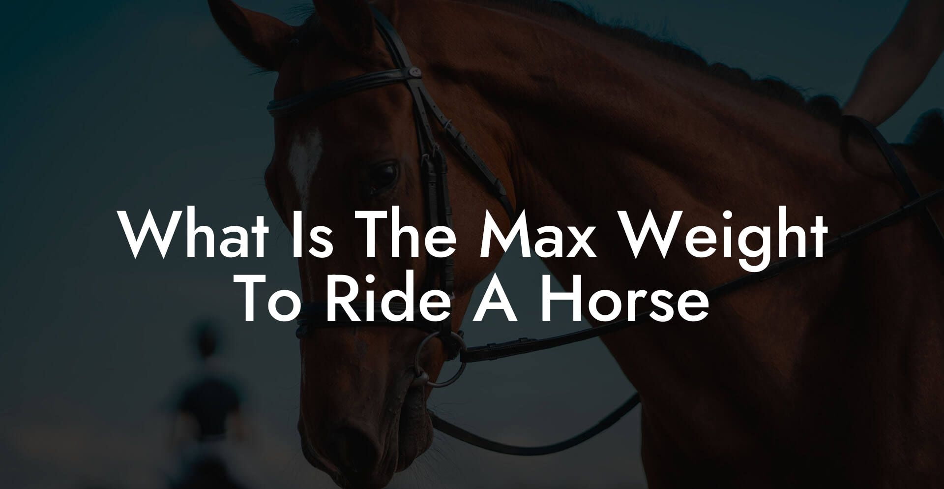 What Is The Max Weight To Ride A Horse