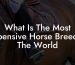 What Is The Most Expensive Horse Breed In The World