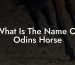 What Is The Name Of Odins Horse
