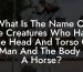 What Is The Name Of The Creatures Who Have The Head And Torso Of A Man And The Body Of A Horse?