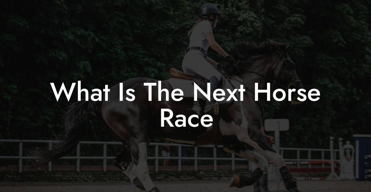 What Is The Next Horse Race